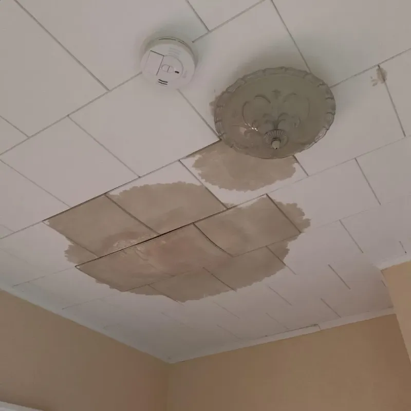 Ceiling Water Damage Repair in Winona, MN